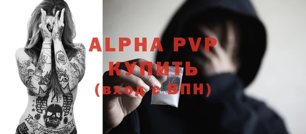 СК Белокуриха