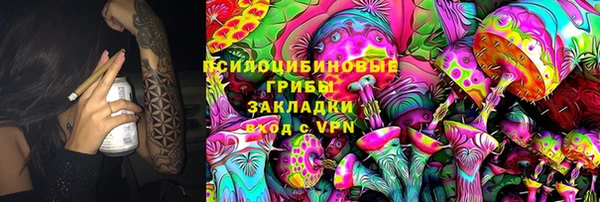 СК Белокуриха